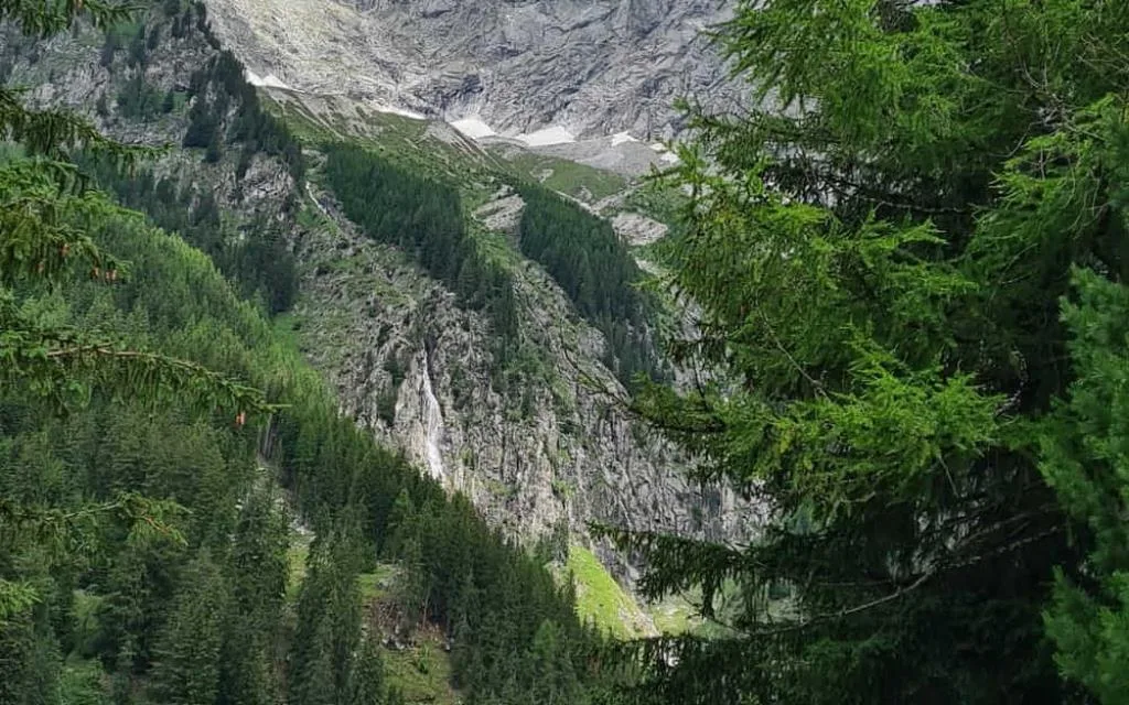 Panoramica