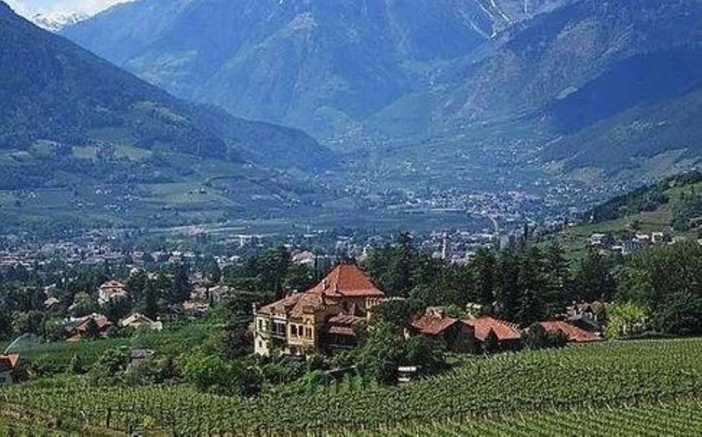 Panoramica