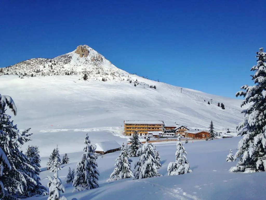 Panorama
