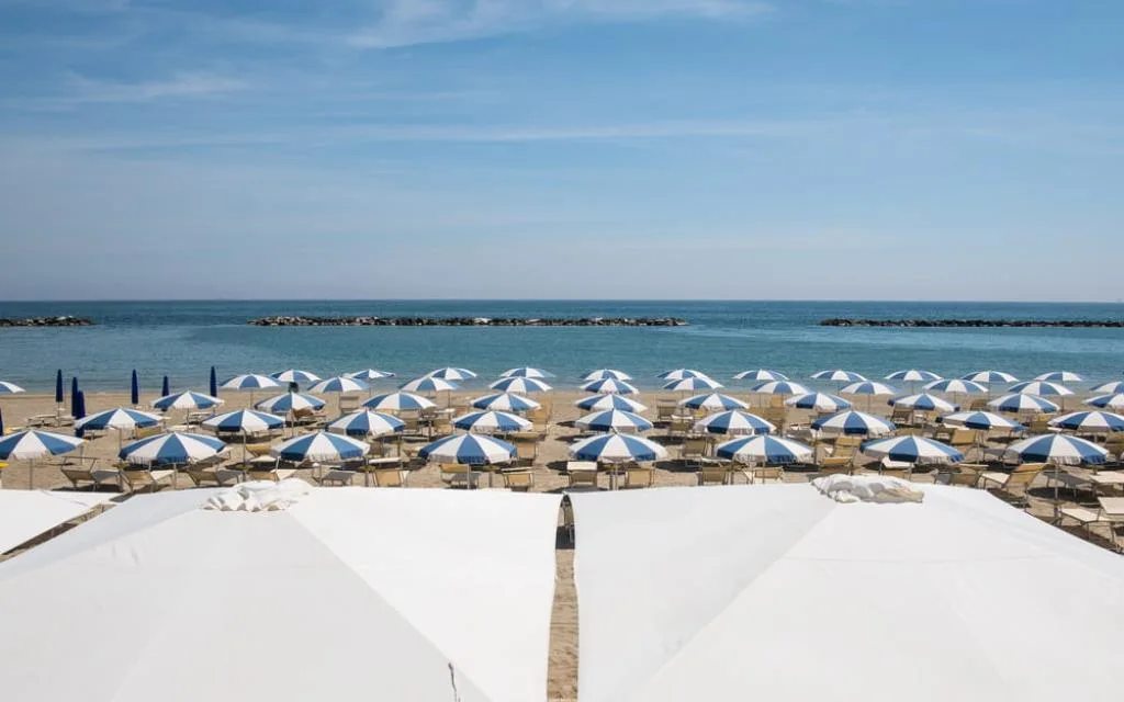 mare