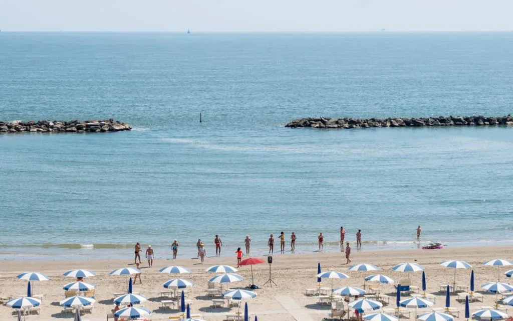 mare