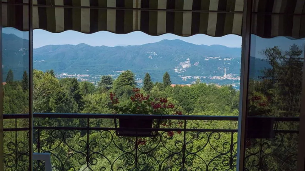 Vista