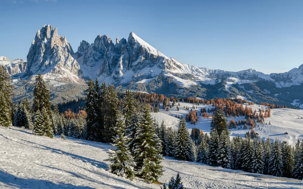Paesaggio invernale delle Dolomiti con vette innevate, boschi e larici dorati
