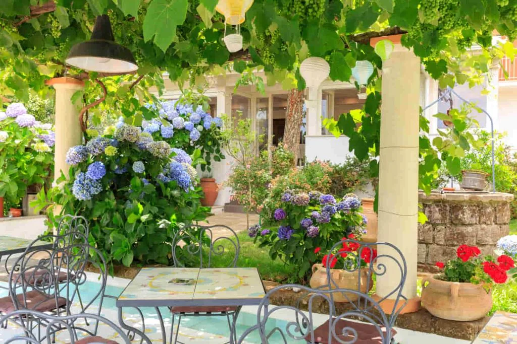 giardino