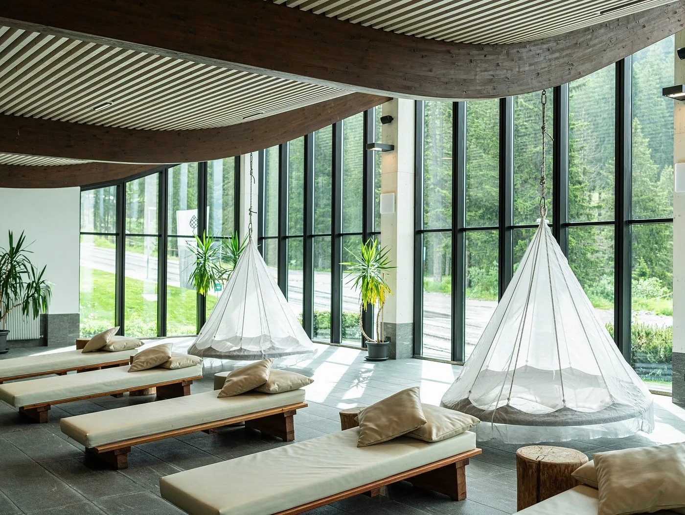 Area relax con lettini e amache sospese e grandi vetrate sul bosco