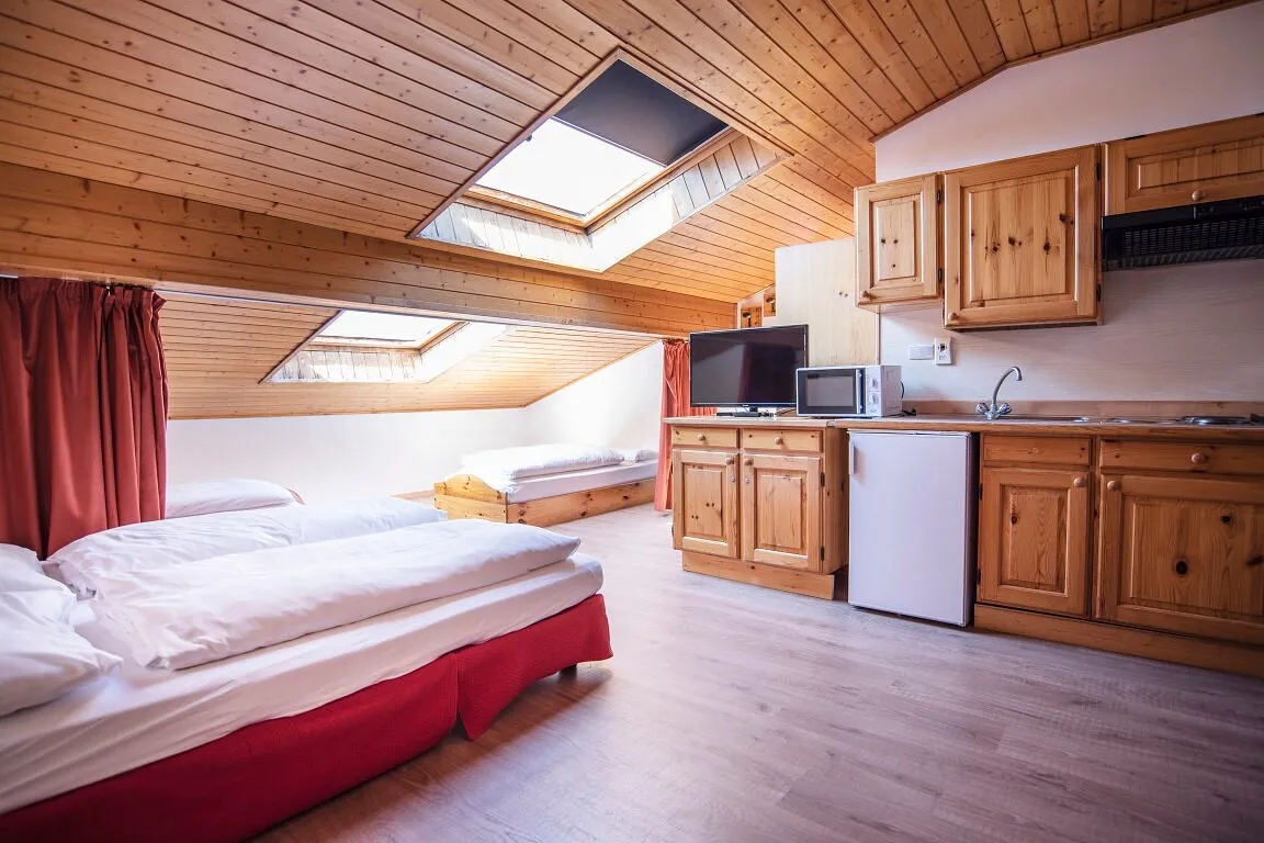 Camera mansardata con soffitto in legno, lucernari, letto matrimoniale e angolo cottura con frigo e microonde