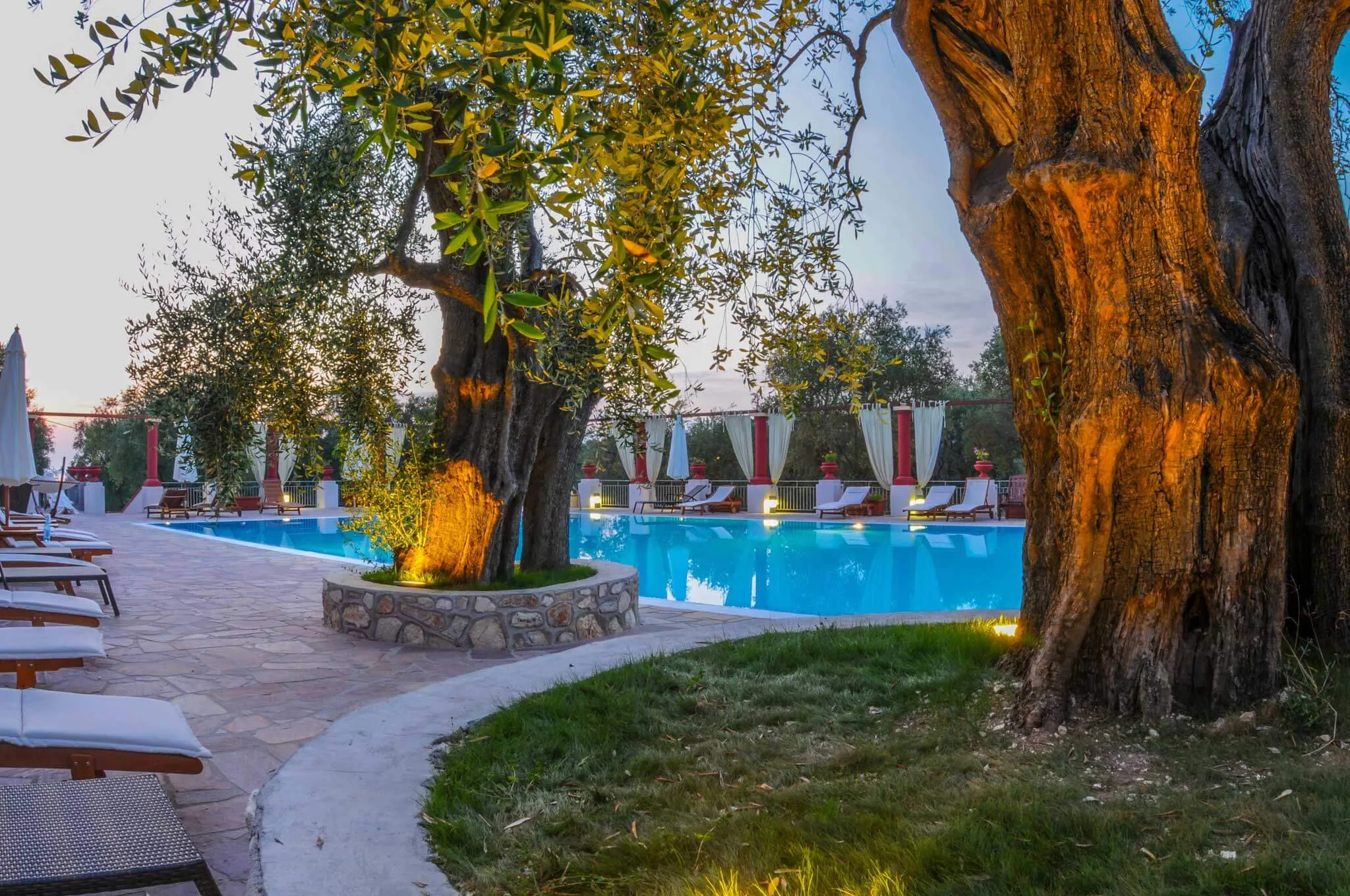Piscina illuminata al crepuscolo con ulivi secolari e prato verde