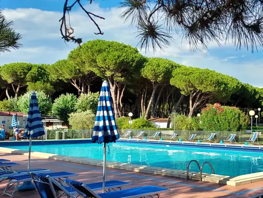 Piscina circondata da lettini blu e ombrelloni a righe con pini marittimi sullo sfondo