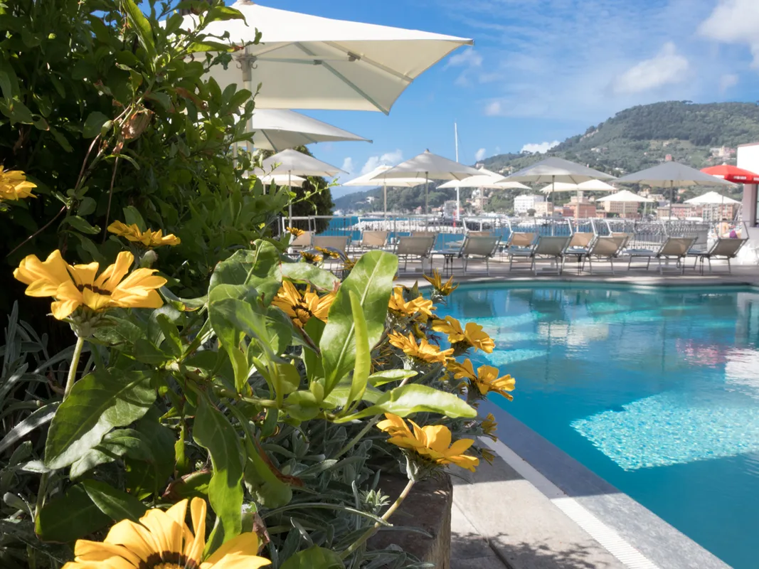 Bordo piscina con fiori gialli in primo piano e vista sulle colline e sul golfo