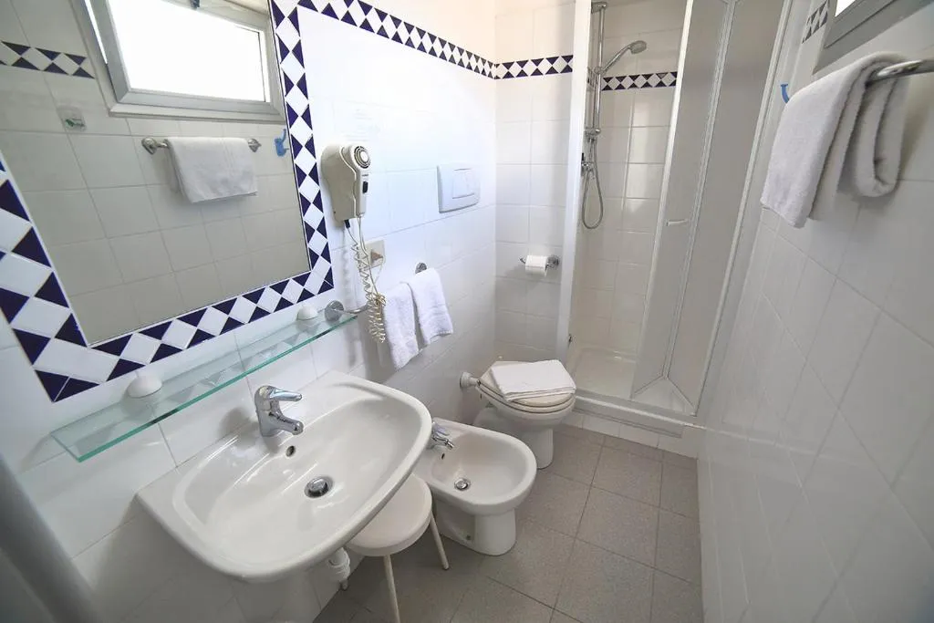Bagno privato con lavabo, bidet, doccia e specchio con bordo decorato blu e bianco