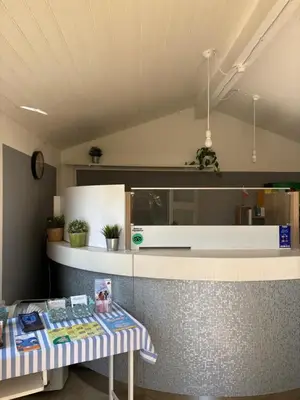 Reception dell'hotel con bancone curvo e piante decorative