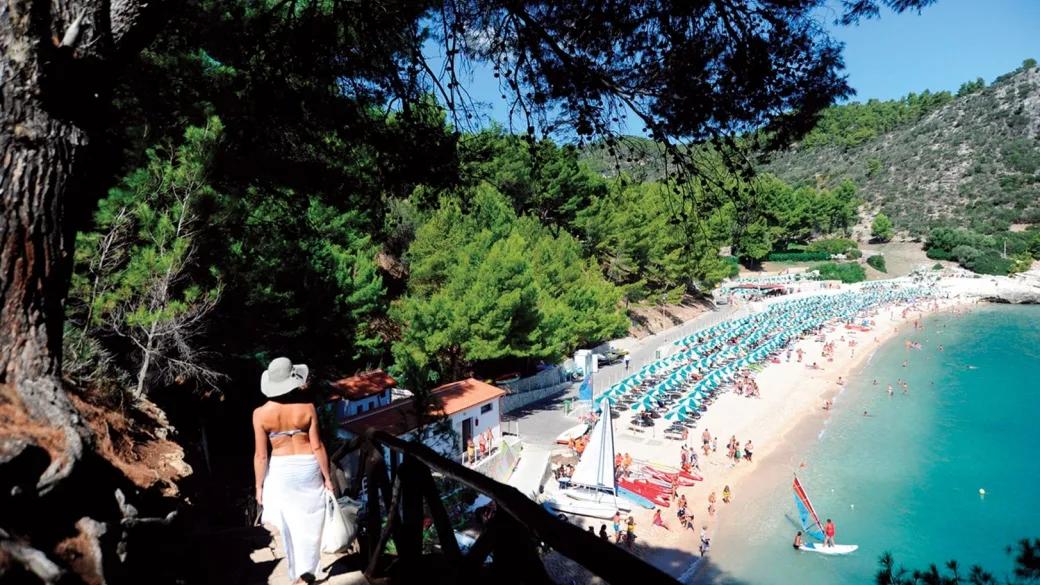 Sentiero tra i pini con vista sulla spiaggia affollata di ombrelloni azzurri e mare turchese