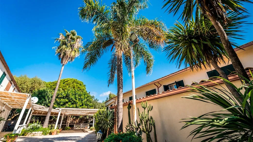 Cortile dell'hotel con palme, cactus e cielo azzurro limpido