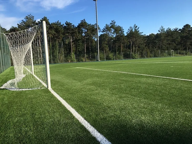 Campo da calcio in erba sintetica con porta immerso nella pineta