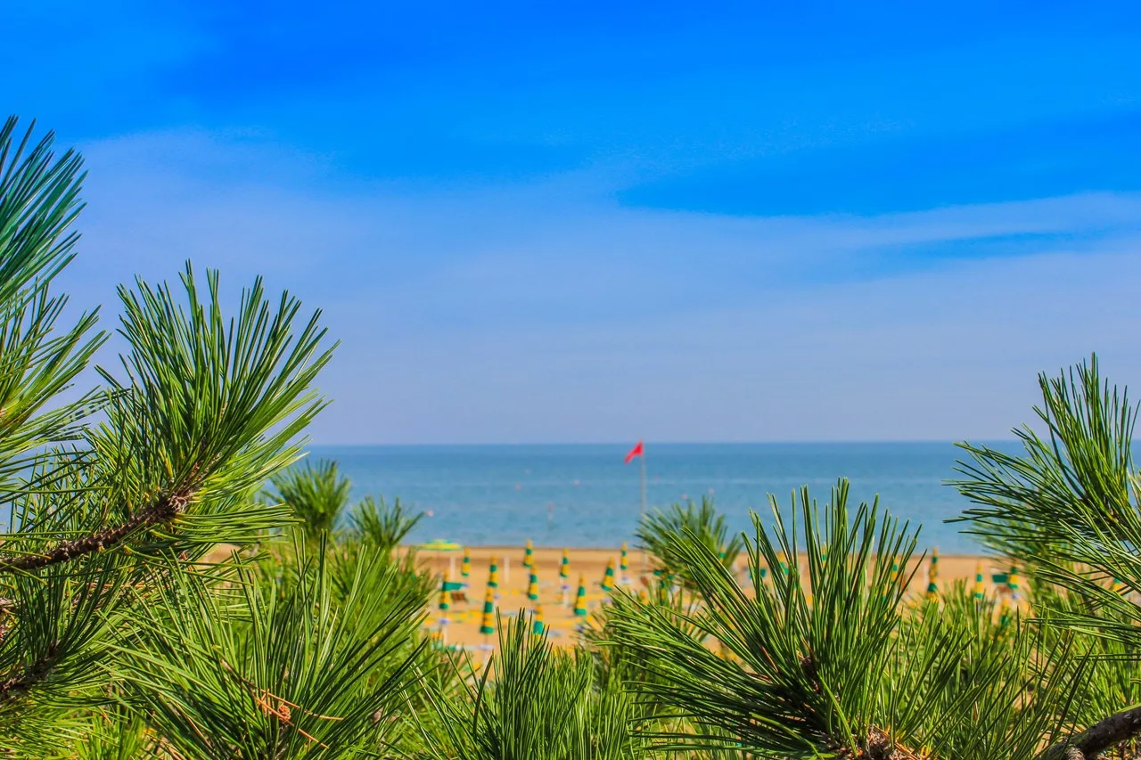 Vista del mare e della spiaggia con ombrelloni tra i rami di pino