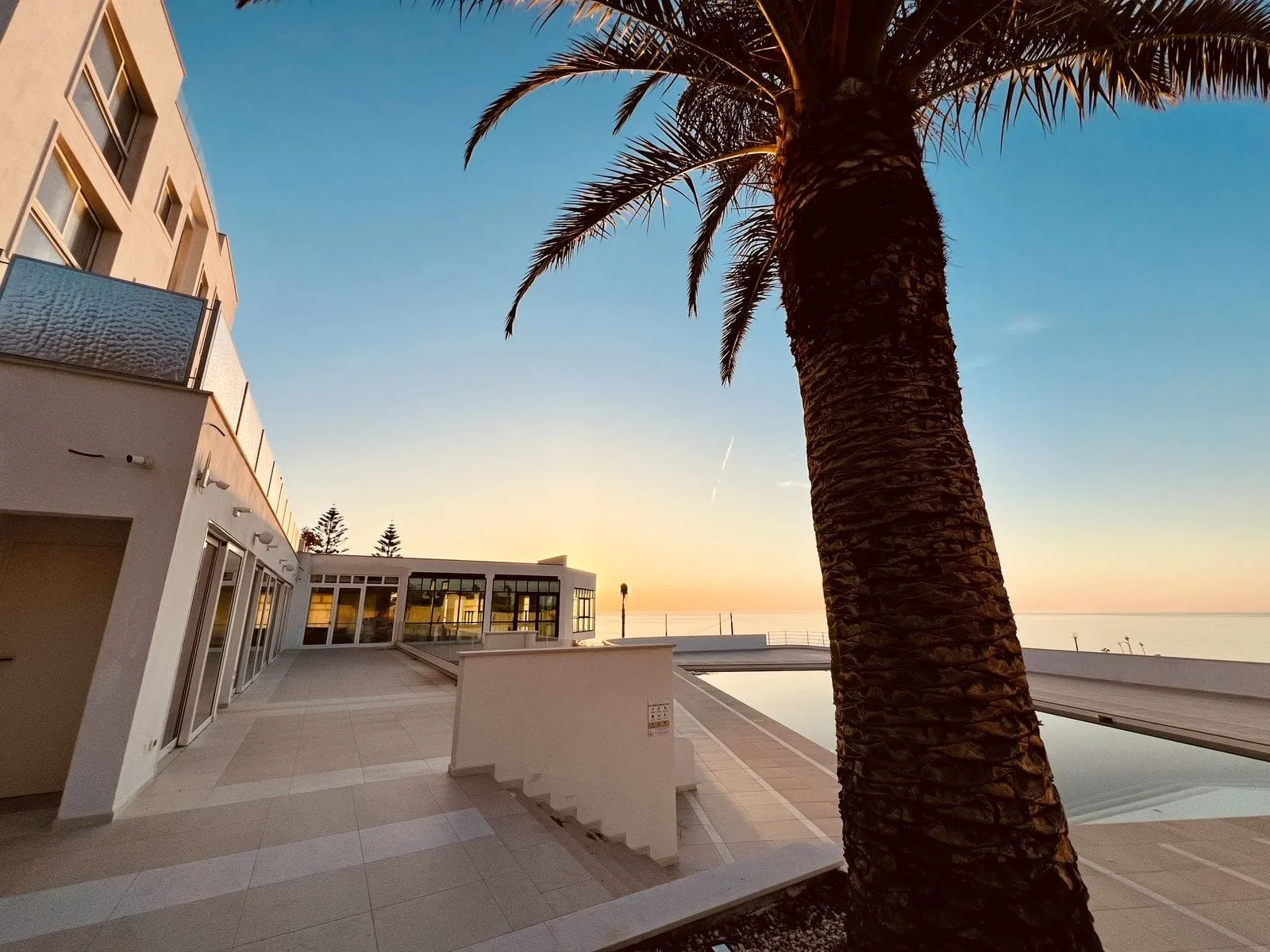 Terrazza dell'hotel al tramonto con palma e vista sul mare