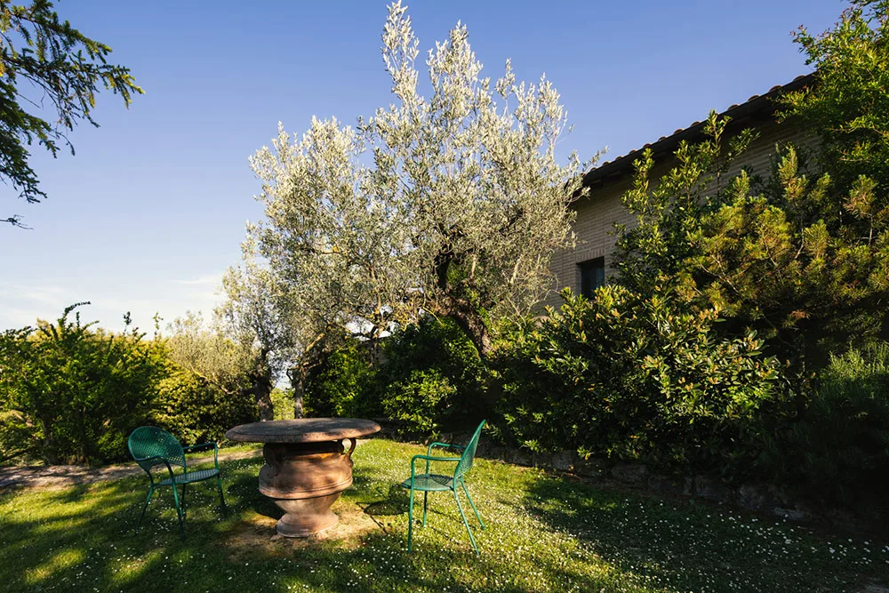 Angolo relax in giardino con tavolo, sedie verdi e ulivo secolare