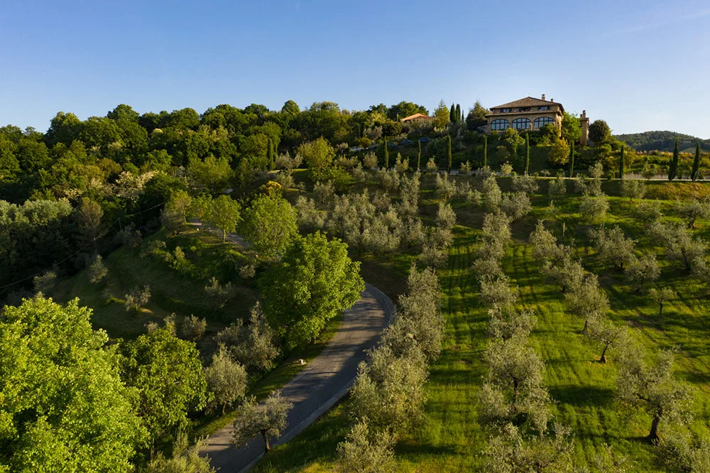 Casale sulla sommità di una collina circondato da uliveti e cipressi con strada che sale