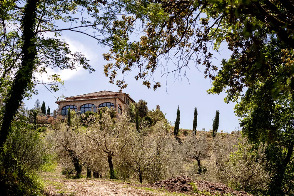 Casale in pietra con ampie vetrate ad arco visto attraverso alberi e uliveti