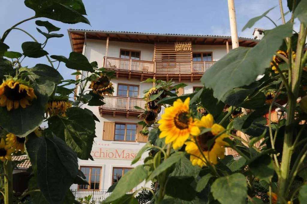 Facciata dell'hotel vista tra i girasoli con balconi in legno