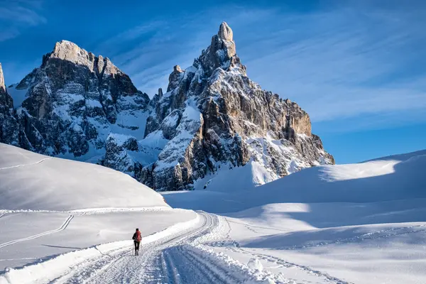 Hotel Regina e Fassa