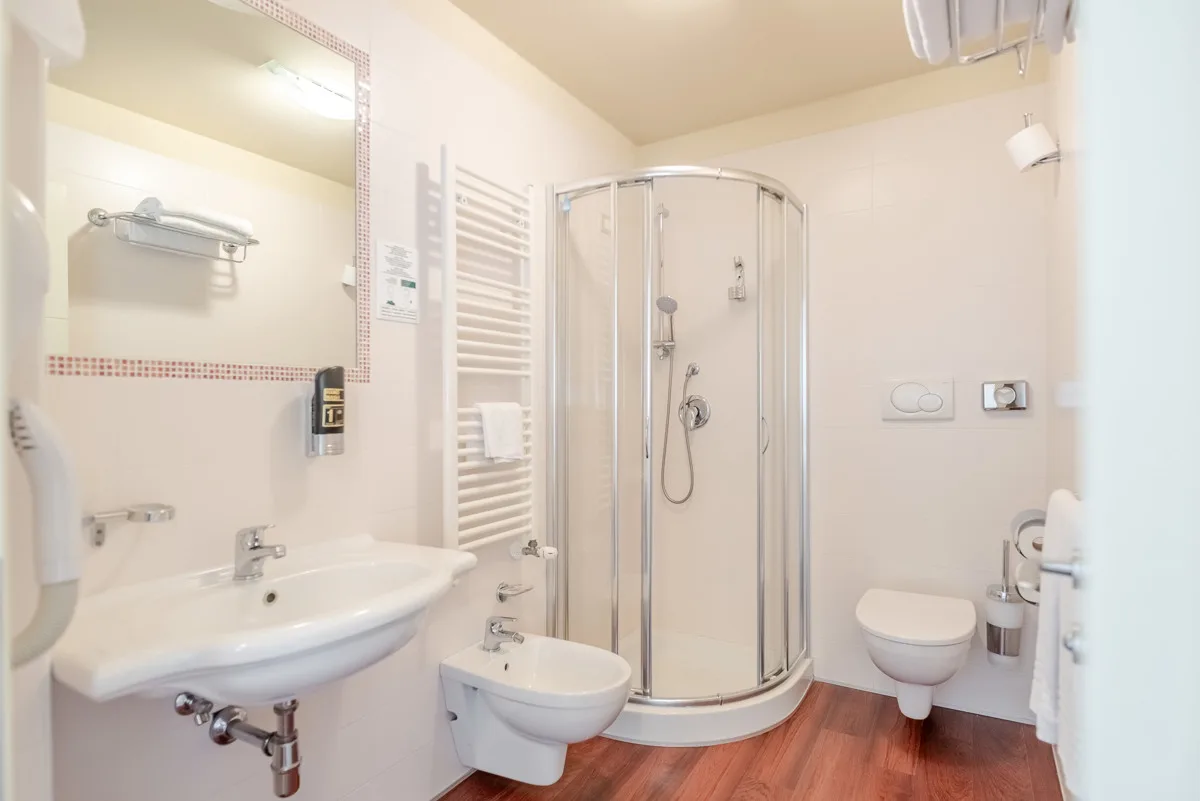 Bagno della camera con doccia, lavabo, bidet e WC