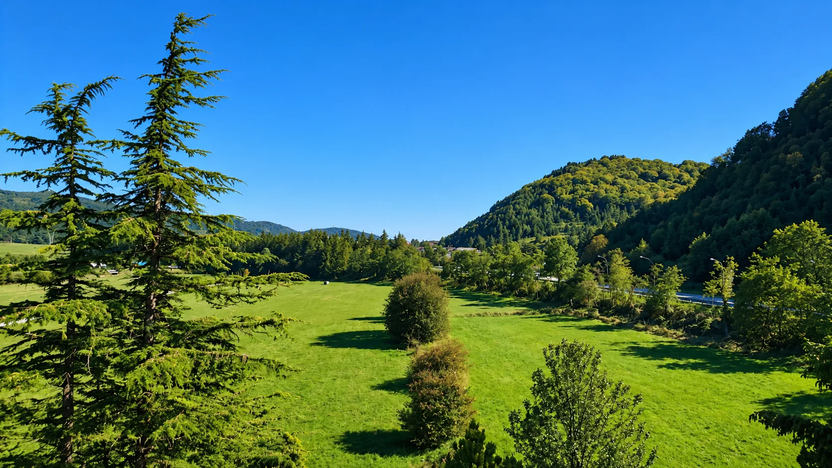 Vista su valle verdeggiante con prati e colline boscose sotto cielo limpido