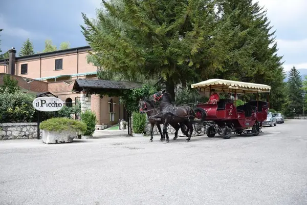 LH ALBERGO IL PICCHIO