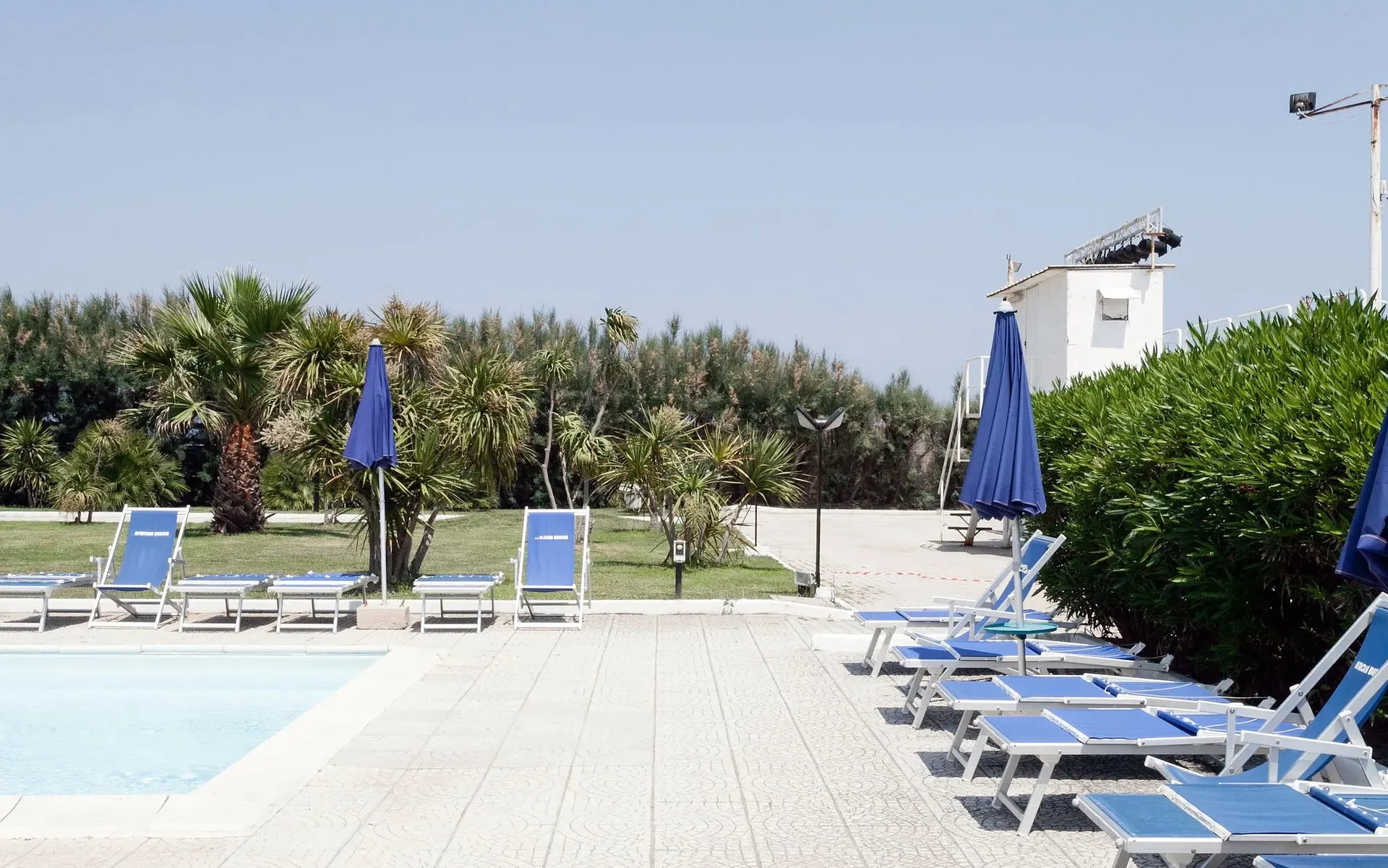 Bordo piscina con lettini blu, ombrelloni chiusi e giardino con palme