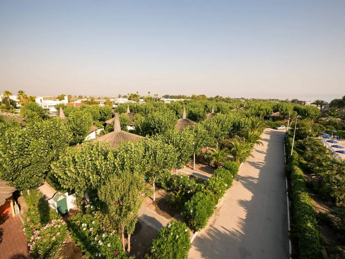 Panoramica dall'alto dei bungalow con tetti in paglia immersi nella vegetazione