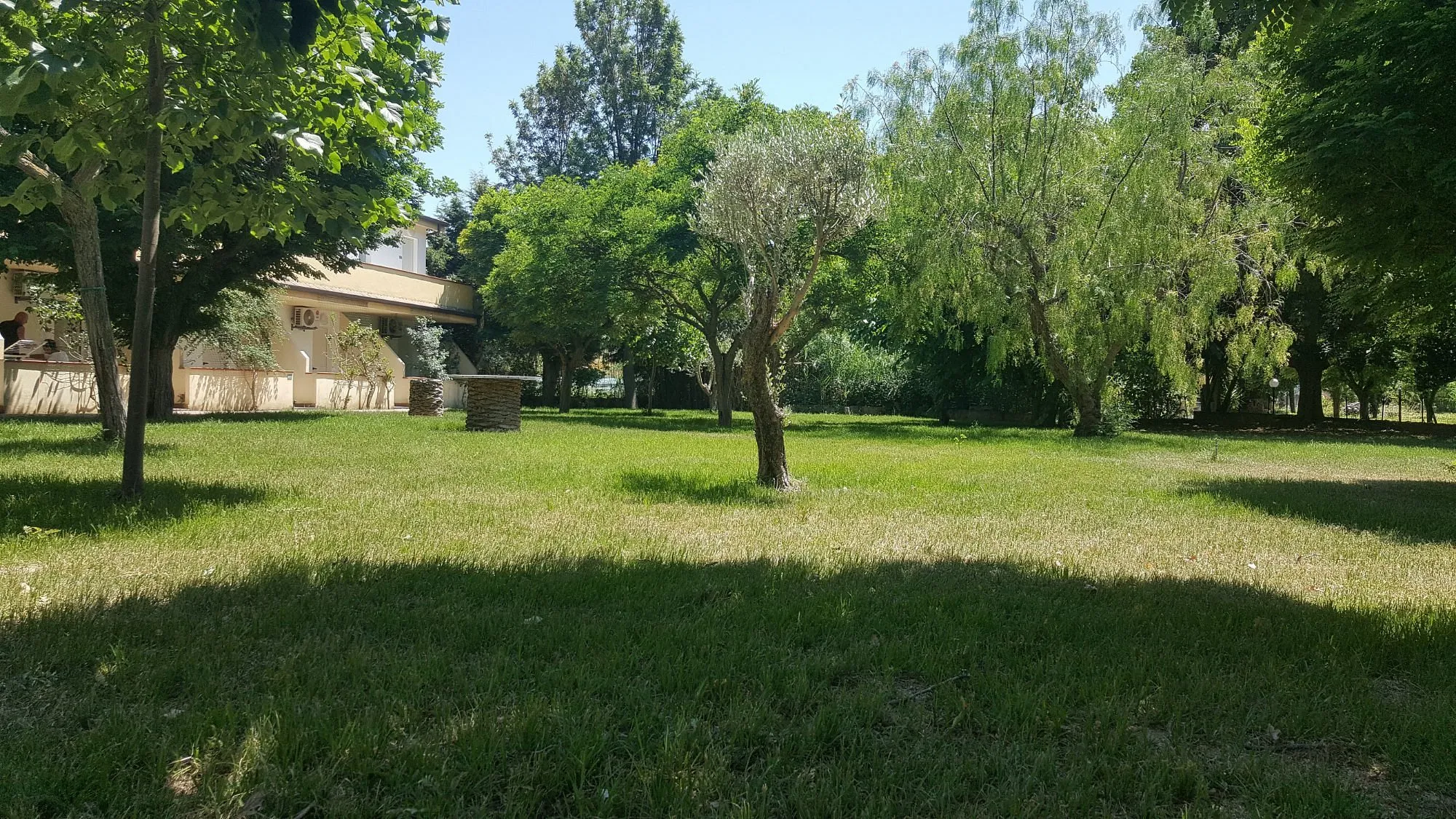 Giardino con prato verde, alberi e ulivi vicino all'edificio del resort