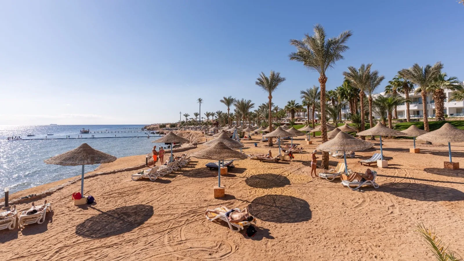 Queen Sharm Resort