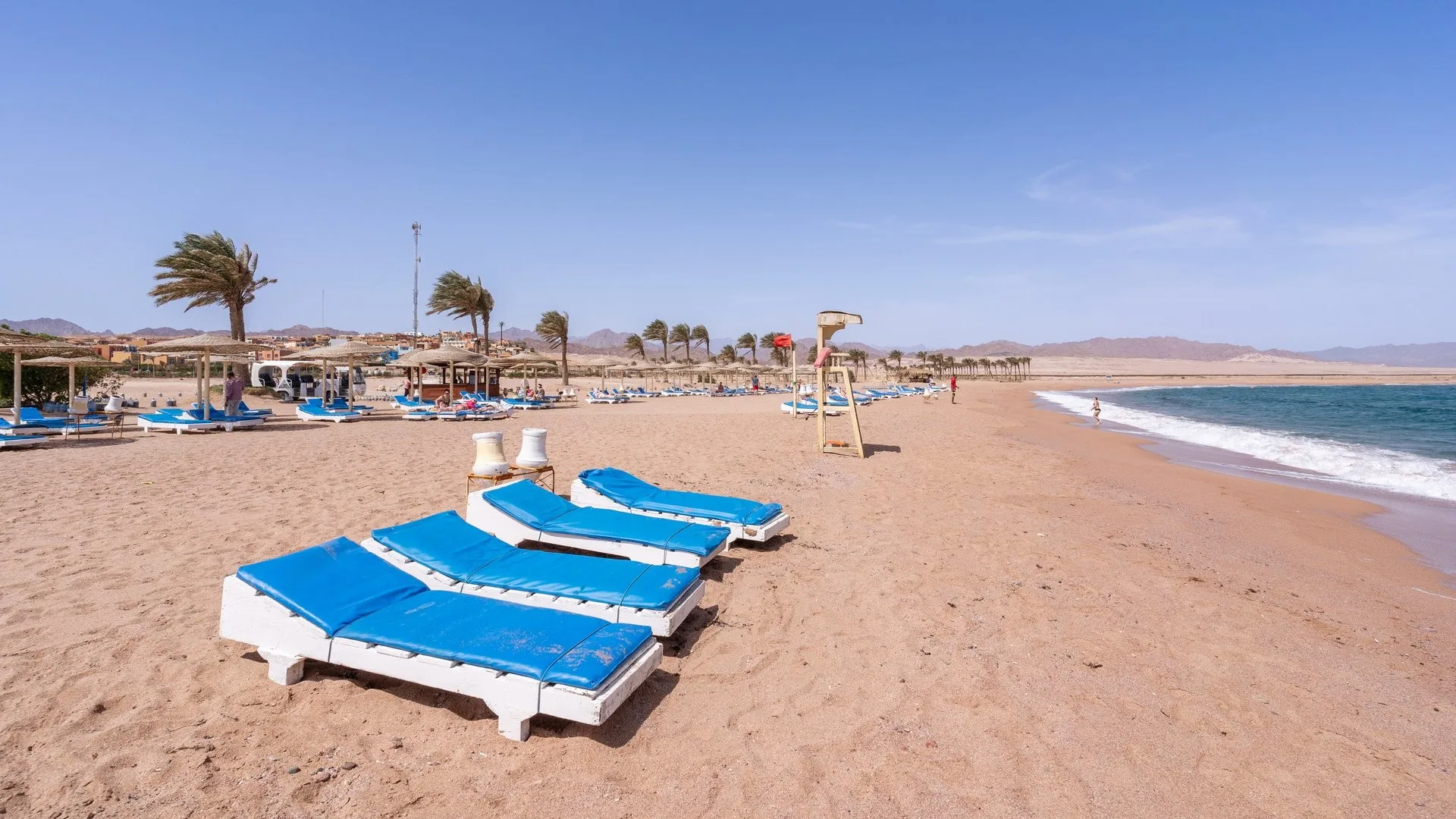 Ampia spiaggia sabbiosa con lettini blu, palme mosse dal vento e mare con onde