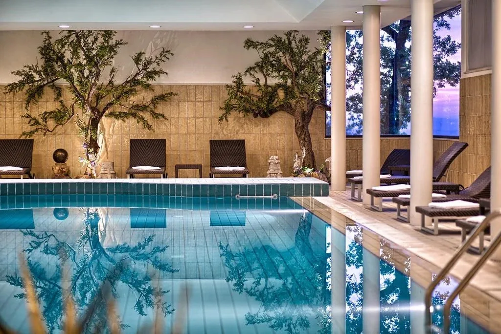 Piscina interna con ulivi decorativi, lettini e ampia vetrata panoramica