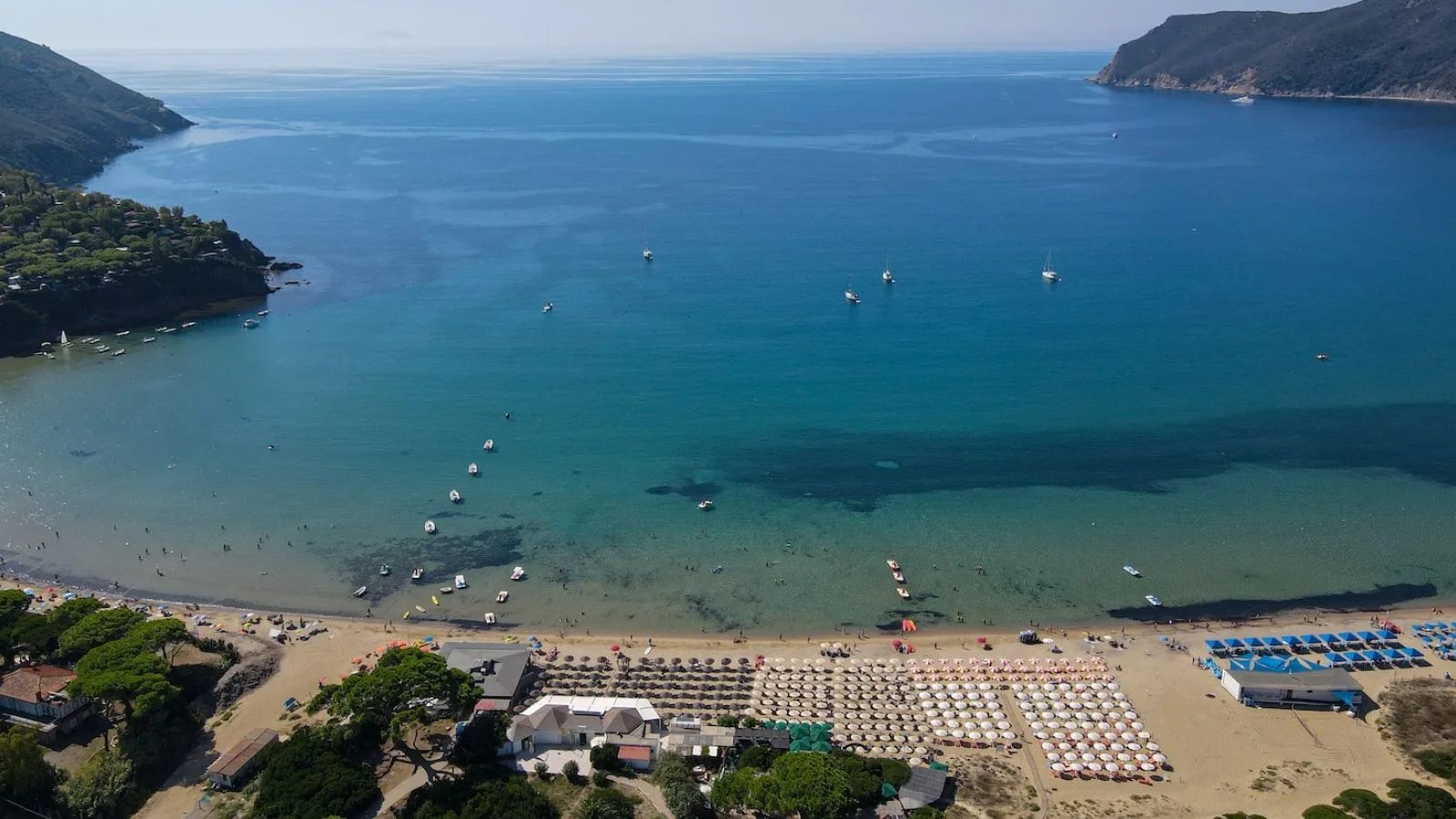 Veduta aerea del Golfo di Lacona e della spiaggia, con la pineta in primo piano e barche sul mare.