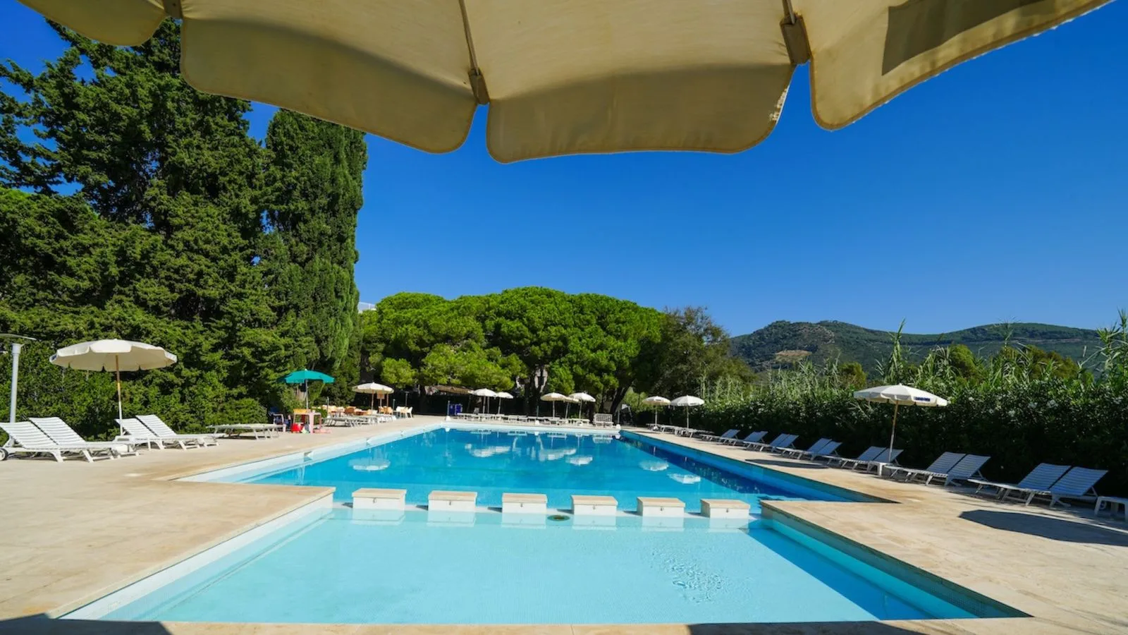 Piscina scoperta di TH Lacona con lettini e ombrelloni, circondata dagli alberi della pineta.