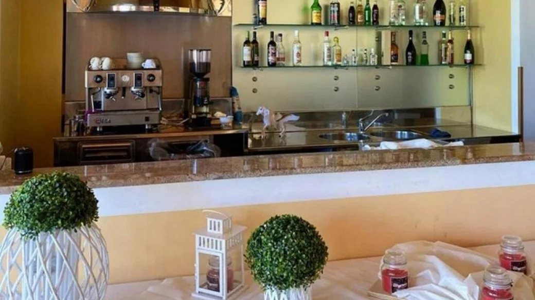 Bancone bar con macchina del caffè professionale, bottiglie di liquori e decorazioni con piante