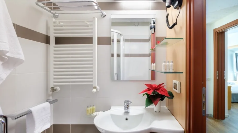 Bagno della camera con lavabo, specchio e dettagli in legno