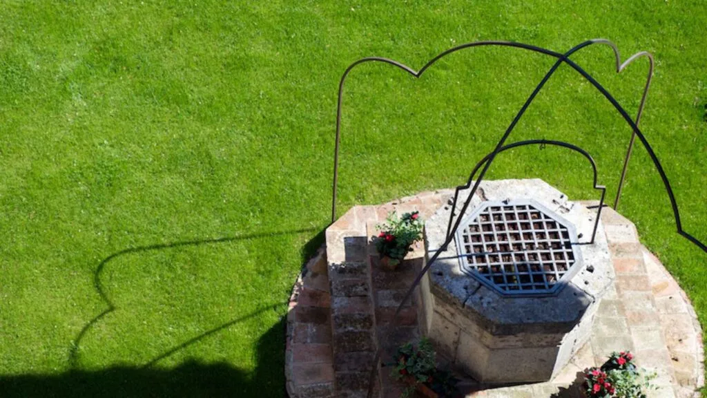 Pozzo in pietra con grata metallica e archi in ferro, circondato da prato verde e fiori in vaso.