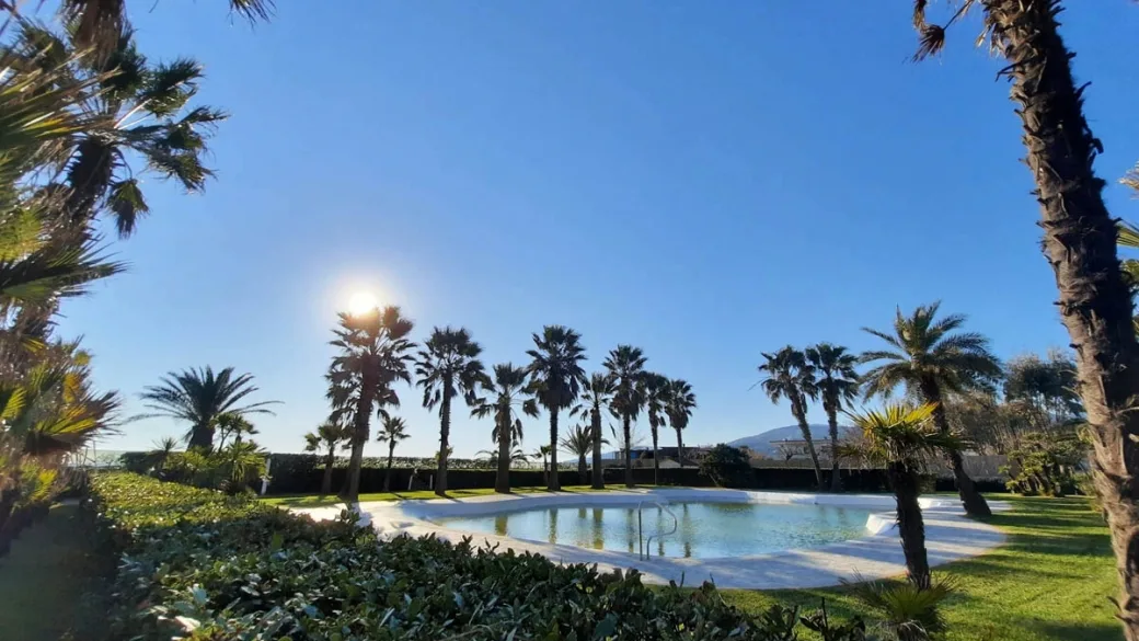 Piscina circondata da palme e siepi con sole controluce nel cielo azzurro