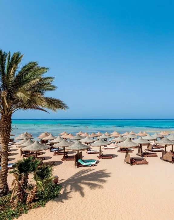 Spiaggia sabbiosa con ombrelloni di paglia, lettini, palme e mare turchese sotto cielo azzurro.