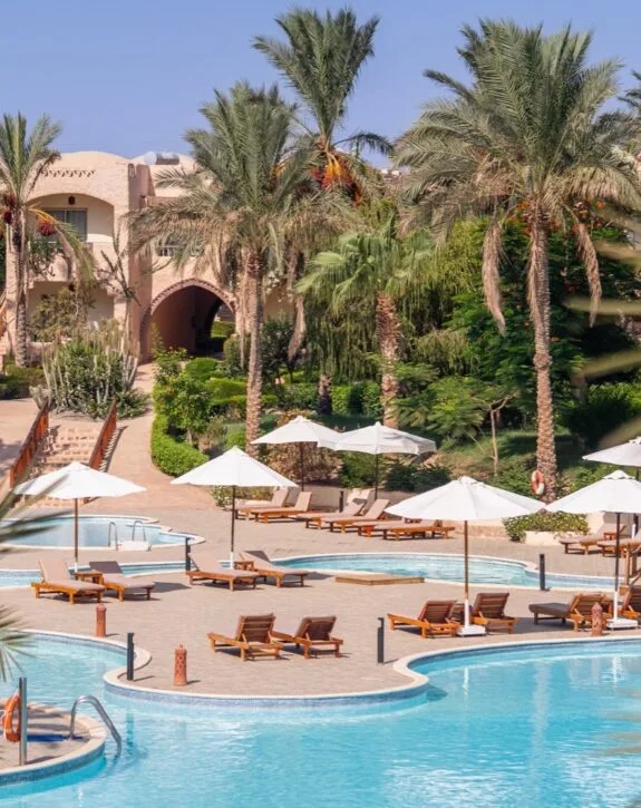 Piscina di resort con lettini, ombrelloni bianchi e palme rigogliose in un giardino soleggiato.
