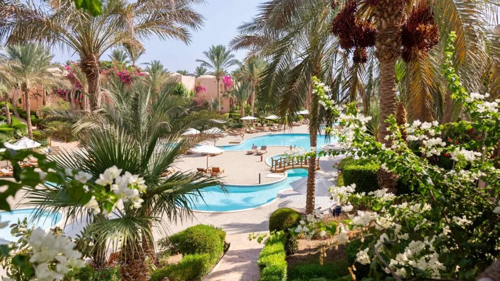 Piscina con lettini e ombrelloni circondata da palme, fiori bianchi e vegetazione lussureggiante in un resort soleggiato.
