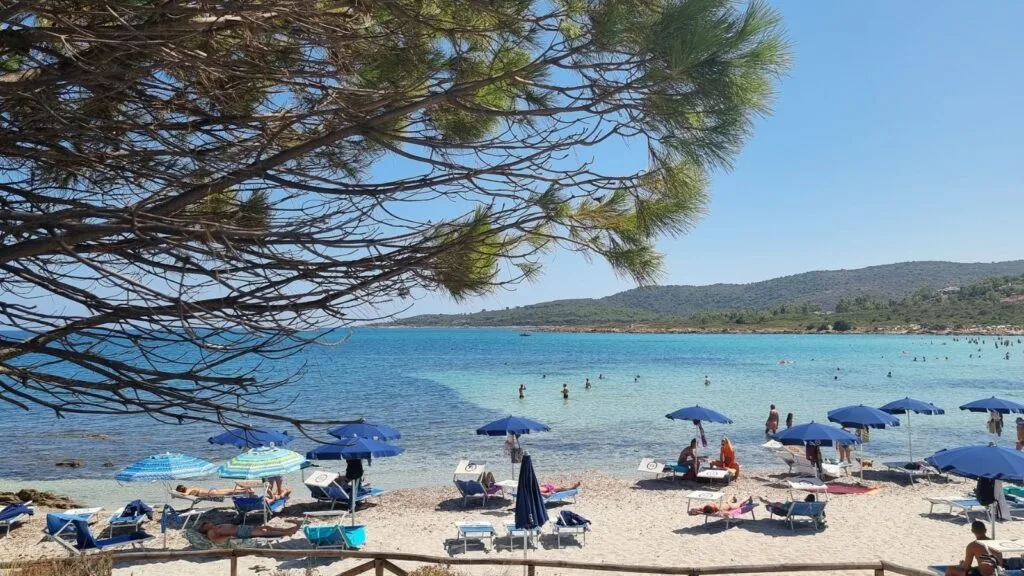 Spiaggia con lettini, ombrelloni e persone che nuotano in acqua, sotto un grande albero verde e un cielo azzurro.