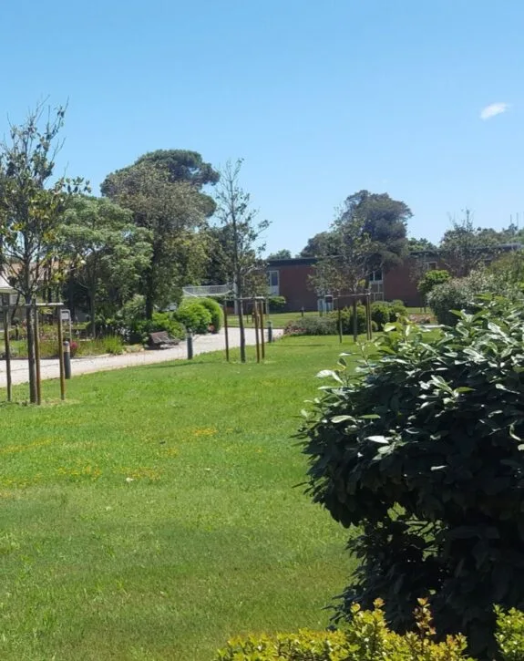 Parco verde con alberi giovani, panchine, cespugli e un edificio basso sullo sfondo sotto un cielo sereno.