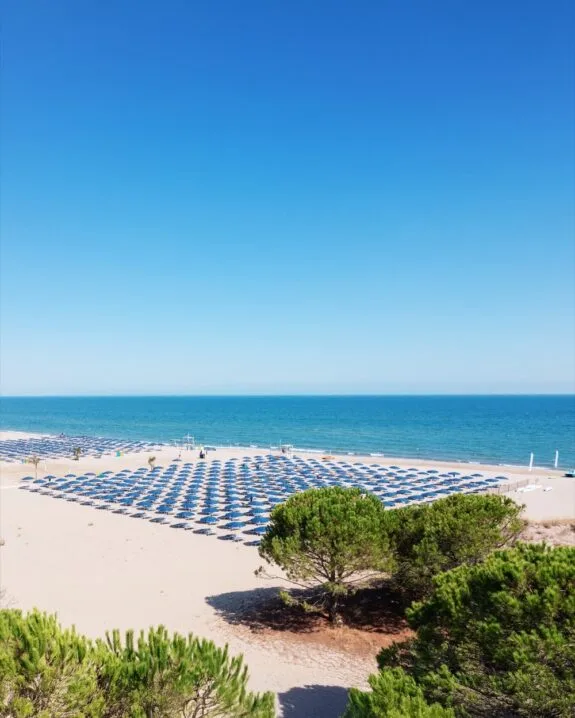 Spiaggia con ombrelloni blu disposti in file ordinate, alberi verdi in primo piano e mare calmo sotto cielo sereno.