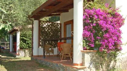 Veranda con sedie di vimini e grande bougainvillea rosa, parte di una casa con pareti bianche e struttura in legno.