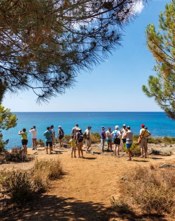 Gruppo di persone osserva il mare da un sentiero panoramico, circondato da alberi e una vista azzurra.