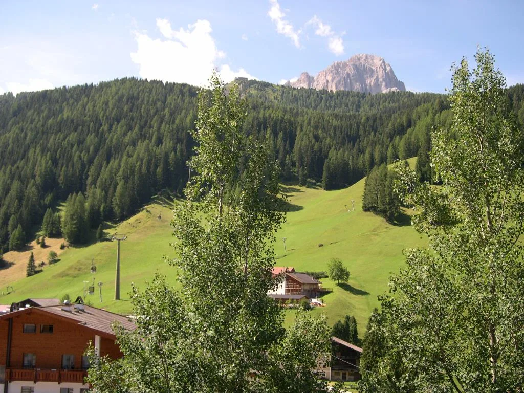Panorama montano estivo con prati verdi, bosco di conifere e cime dolomitiche