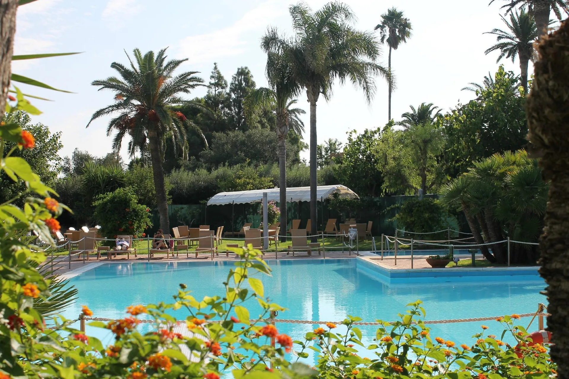 Piscina vista tra fiori arancioni e palme con lettini e area relax
